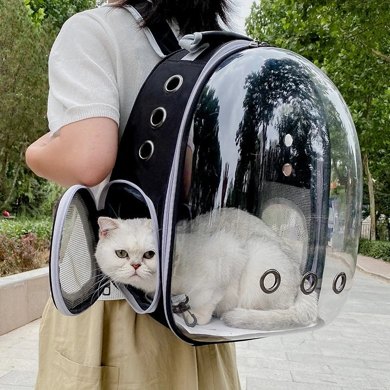 Mochila transportadora cápsula transparente