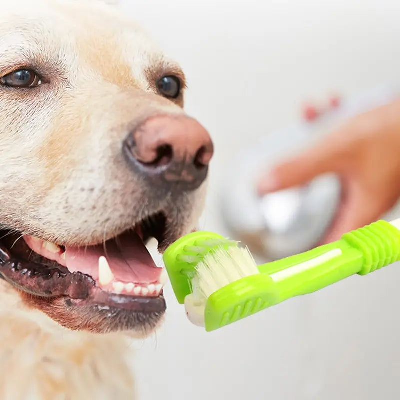 Cepillo dental 3 en 1 para perros y gatos – Limpieza total, rápida y eficaz