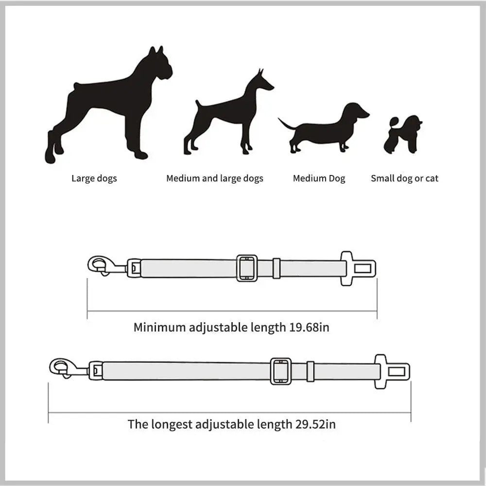 Cinturón de seguridad ajustable para perro y gato – Viajes seguros y cómodos