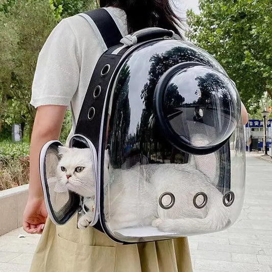 Mochila transportadora cápsula transparente