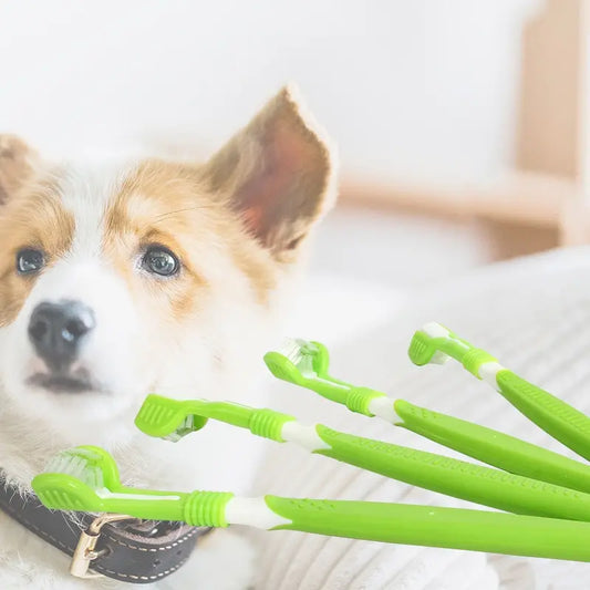 Cepillo dental 3 en 1 para perros y gatos – Limpieza total, rápida y eficaz